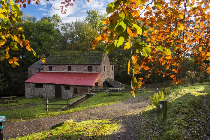 Barry Mill