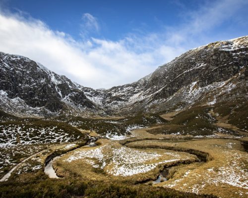 Corrie Fee