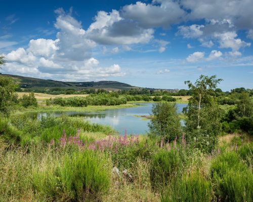 Murton Nature Reserve